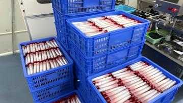 Guangzhou Skincare Essence Processing | Jinyan Cosmetics OEM/ODM Factory